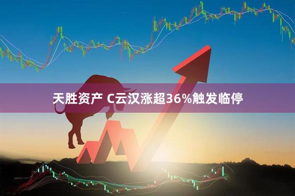 天胜资产 C云汉涨超36%触发临停