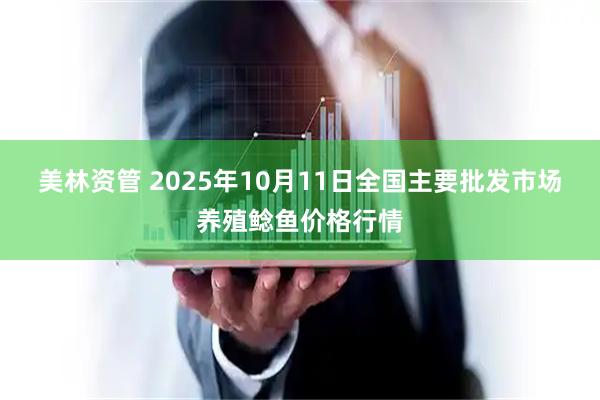 美林资管 2025年10月11日全国主要批发市场养殖鲶鱼价格行情