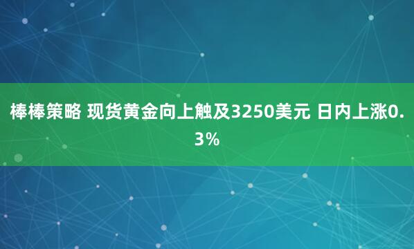 棒棒策略 现货黄金向上触及3250美元 日内上涨0.3%