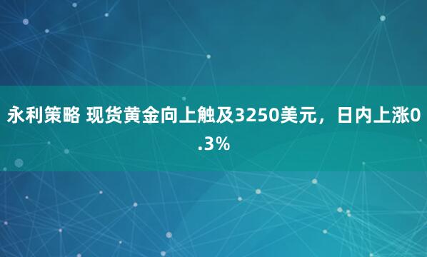 永利策略 现货黄金向上触及3250美元，日内上涨0.3%