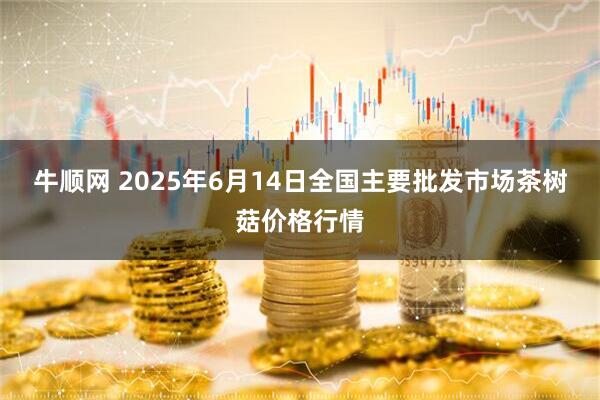 牛顺网 2025年6月14日全国主要批发市场茶树菇价格行情