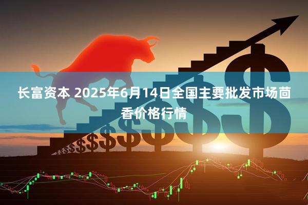 长富资本 2025年6月14日全国主要批发市场茴香价格行情